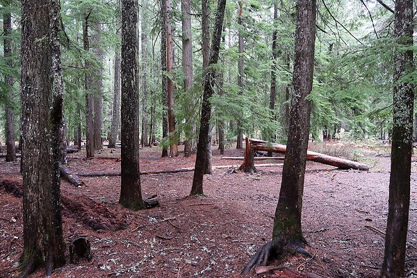 Kachess Lake 2024 - 66