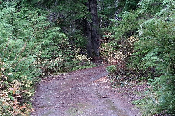 Kachess Lake 2024 - 77