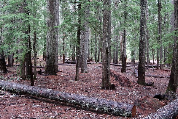 Kachess Lake 2024 - 64