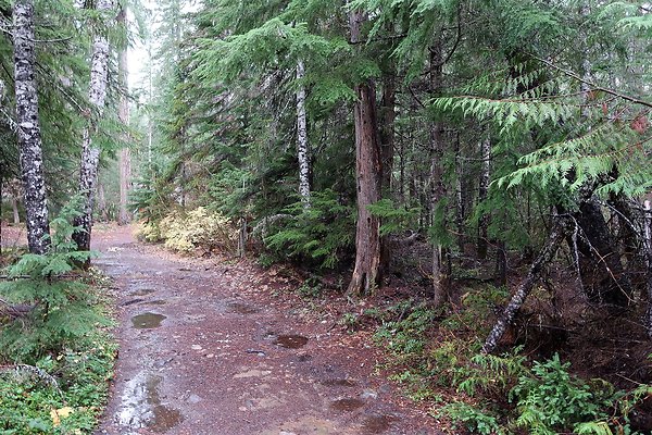 Kachess Lake 2024 - 72