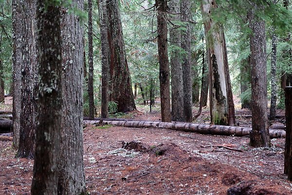 Kachess Lake 2024 - 65