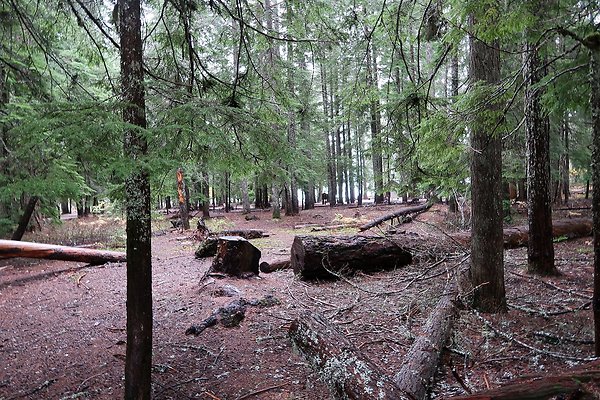 Kachess Lake 2024 - 67