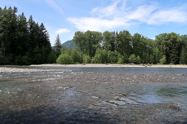 Cowlitz river public access - 11