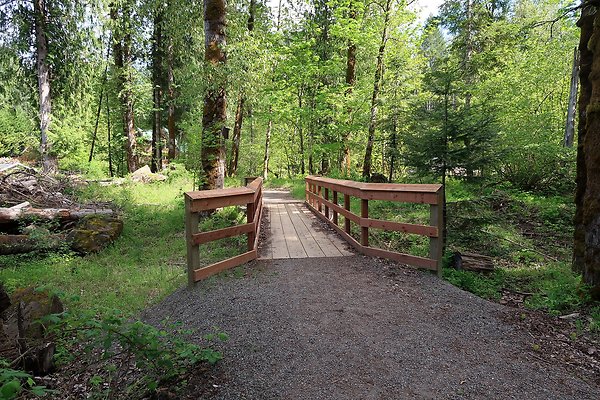 Cowlitz river public access - 6