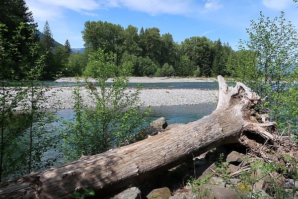 Cowlitz river public access - 3