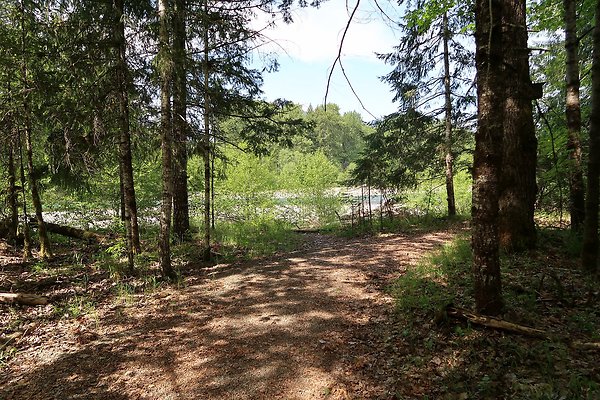 Cowlitz river public access - 2