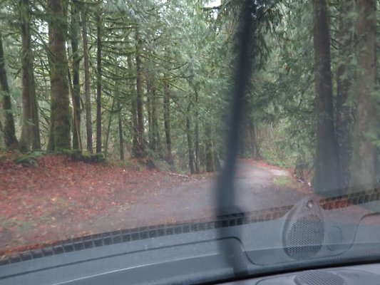 silverlakepark whatcom - 59