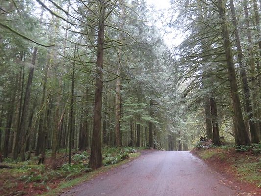 silverlakepark whatcom - 43