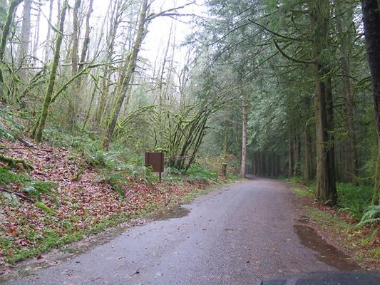 silverlakepark whatcom - 44