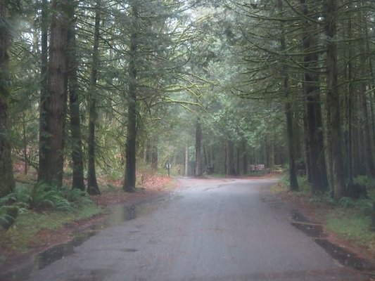 silverlakepark whatcom - 11