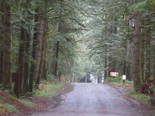 silverlakepark whatcom - 14