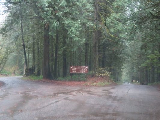 silverlakepark whatcom - 12