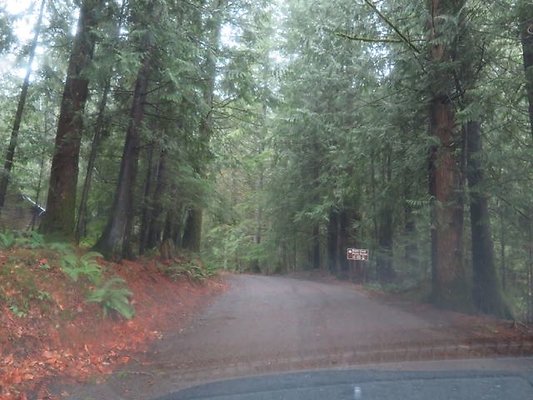 silverlakepark whatcom - 39