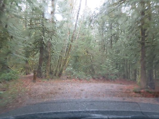 silverlakepark whatcom - 57