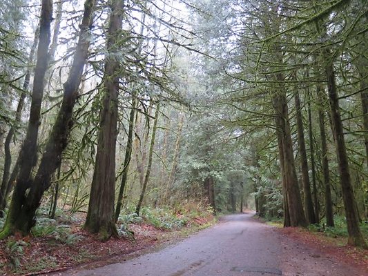 silverlakepark whatcom - 9