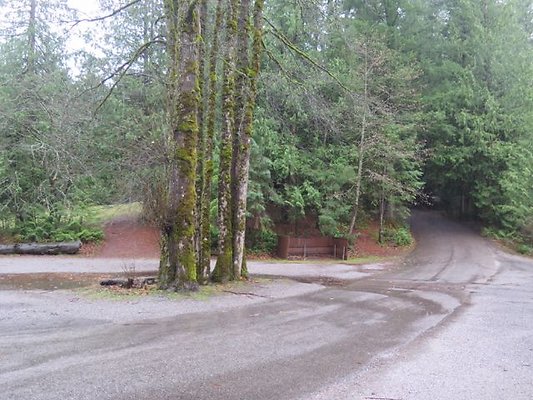 silverlakepark whatcom - 32