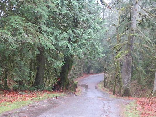 silverlakepark whatcom - 78