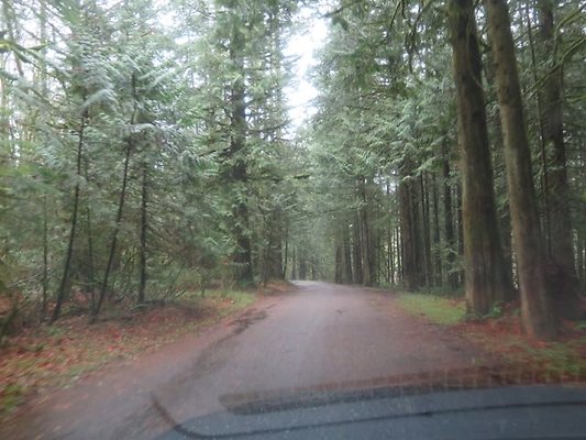 silverlakepark whatcom - 50