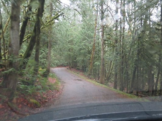 silverlakepark whatcom - 55