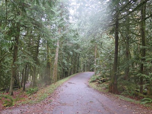 silverlakepark whatcom - 89