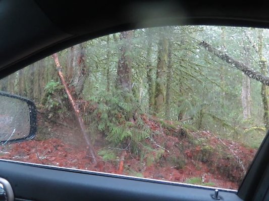 silverlakepark whatcom - 86