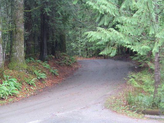 silverlakepark whatcom - 29