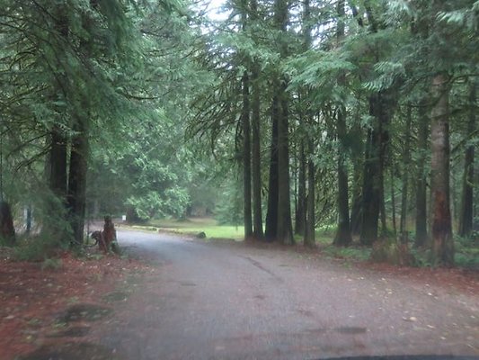 silverlakepark whatcom - 4