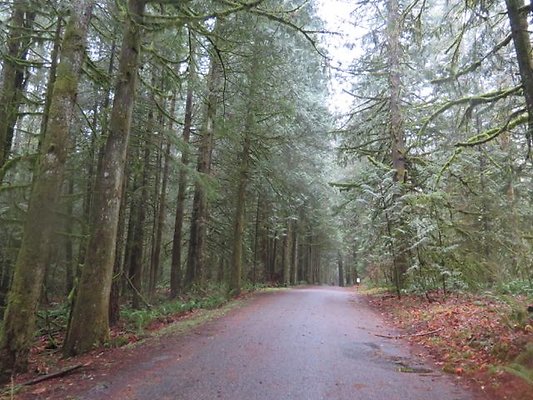 silverlakepark whatcom - 94