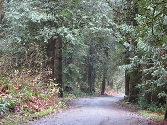 silverlakepark whatcom - 10