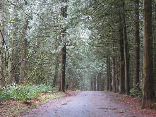 silverlakepark whatcom - 49