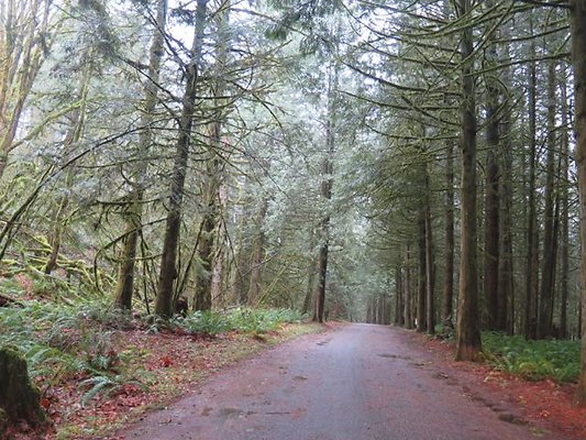 silverlakepark whatcom - 48