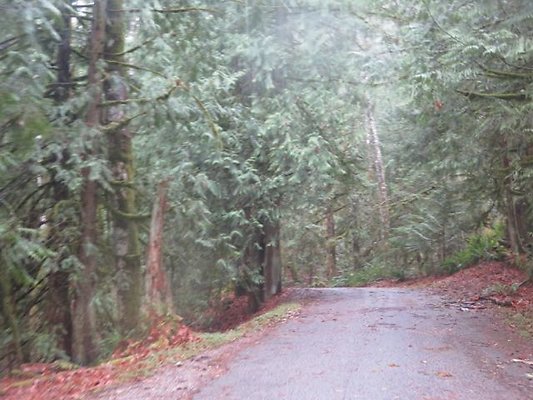 silverlakepark whatcom - 81