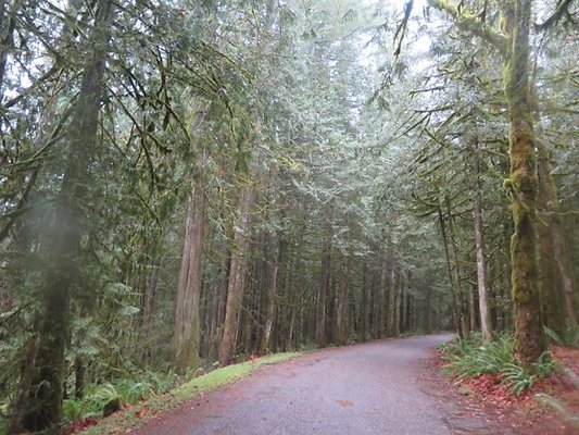 silverlakepark whatcom - 92