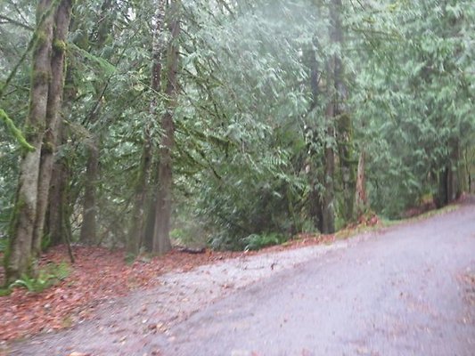 silverlakepark whatcom - 80