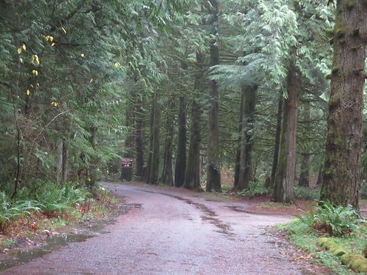 silverlakepark whatcom - 7