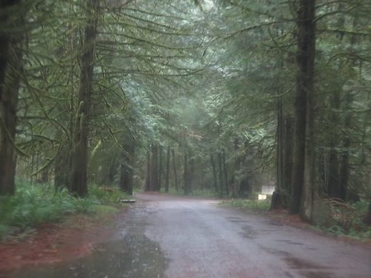 silverlakepark whatcom - 8