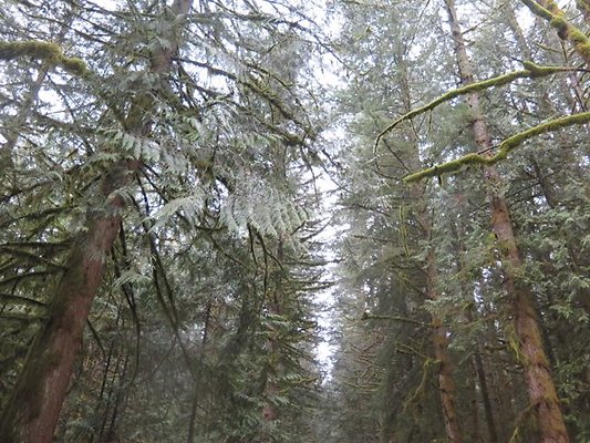 silverlakepark whatcom - 41