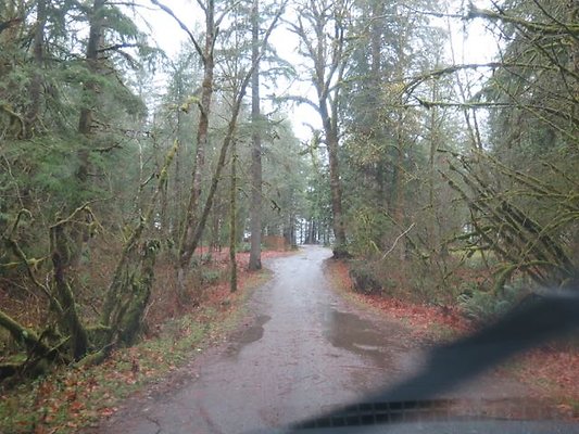 silverlakepark whatcom - 61