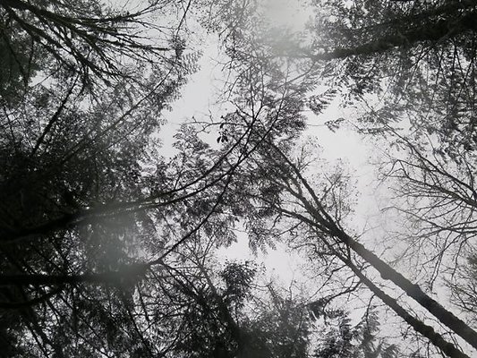 silverlakepark whatcom - 91