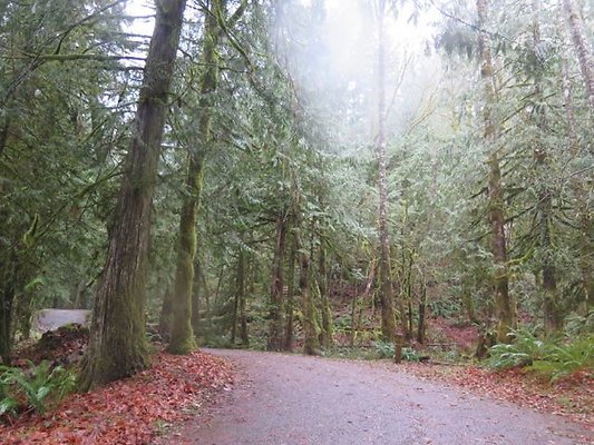 silverlakepark whatcom - 87