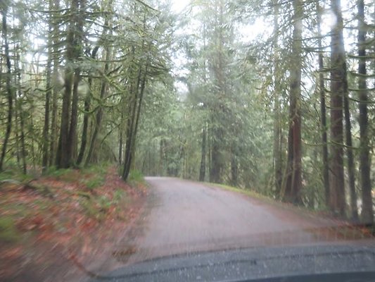 silverlakepark whatcom - 52