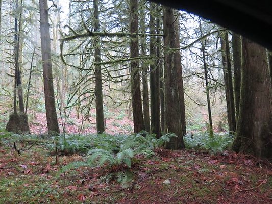 silverlakepark whatcom - 16