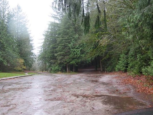 silverlakepark whatcom - 22