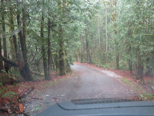 silverlakepark whatcom - 60