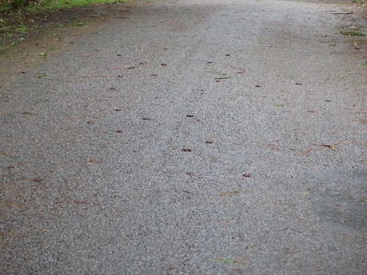 silverlakepark whatcom - 96