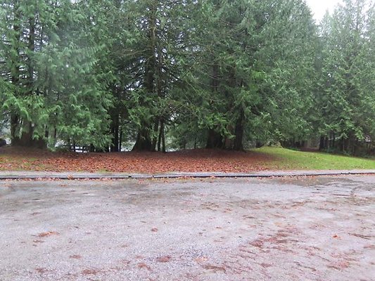 silverlakepark whatcom - 20