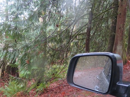 silverlakepark whatcom - 83