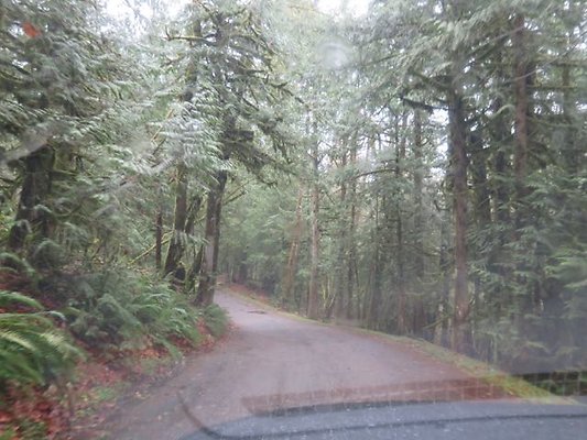 silverlakepark whatcom - 54