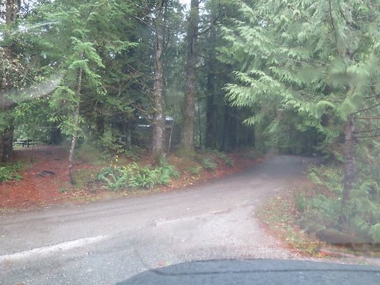 silverlakepark whatcom - 38