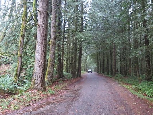 silverlakepark whatcom - 46